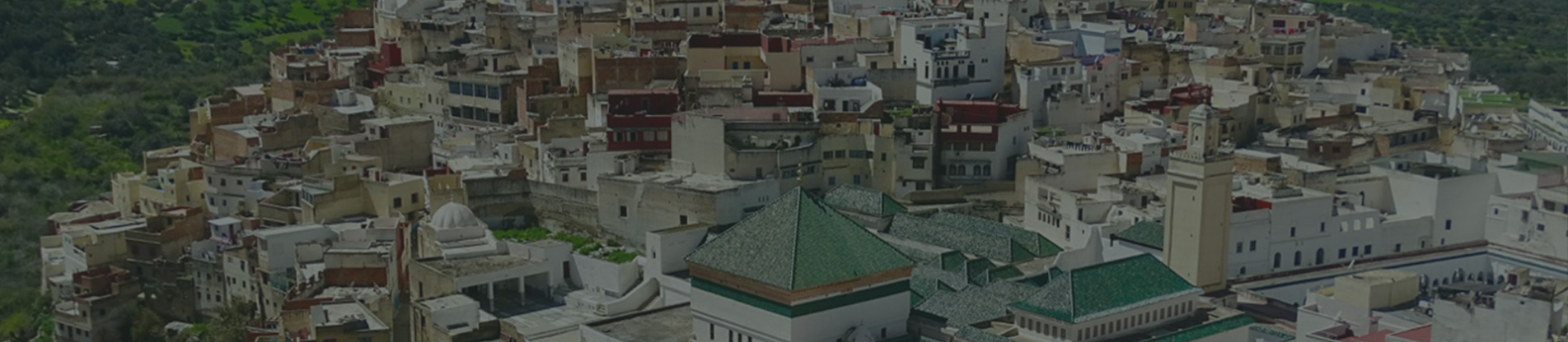 Moulay Driss Zerhoun